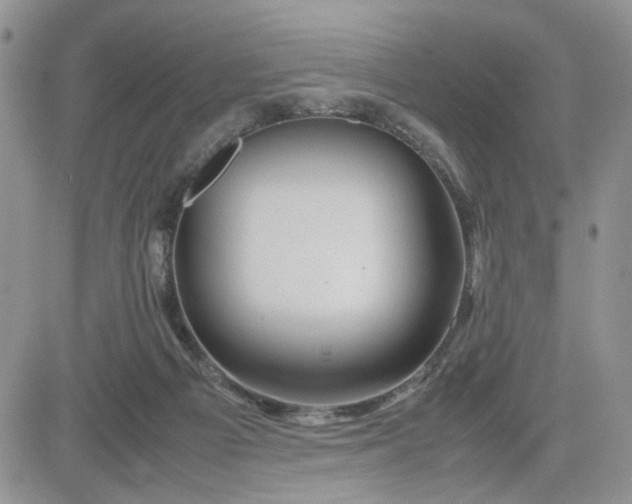 X0000081450121200701261922