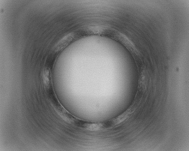 X0000081450122200701261922