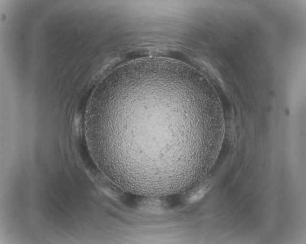 X0000081450123200701261922