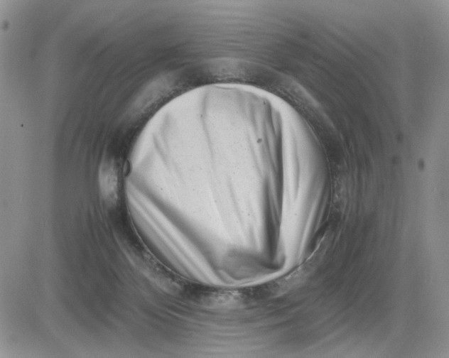 X0000081450124200701261922