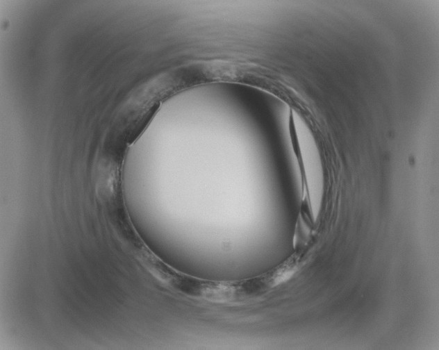 X0000081450125200701261922