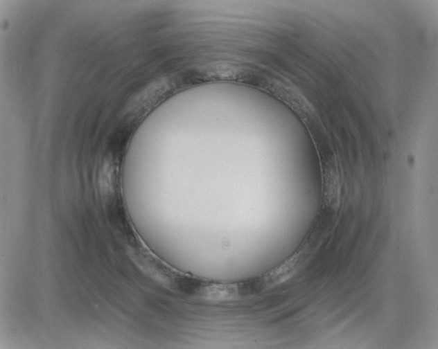 X0000081450126200701261922