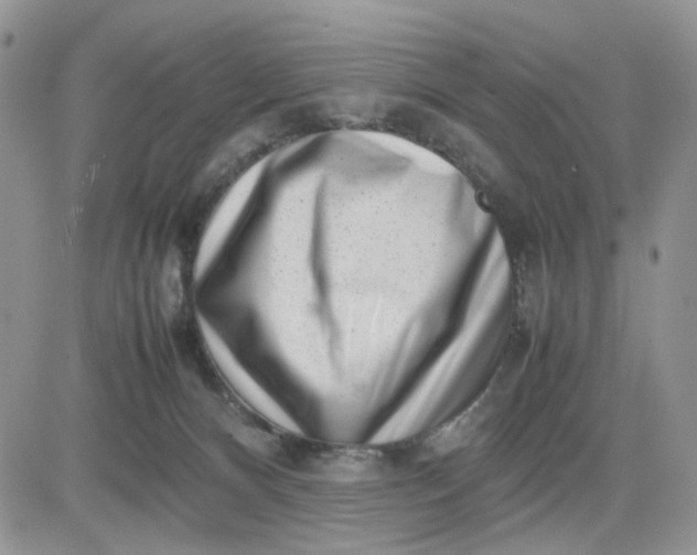 X0000081450128200701261922