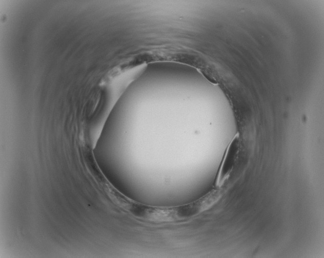 X0000081450129200701261922