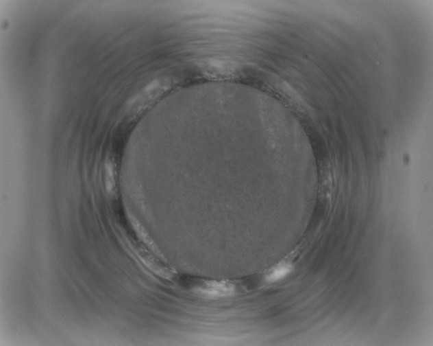 X0000081450130200701261922