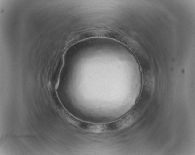 X0000081450131200701261922