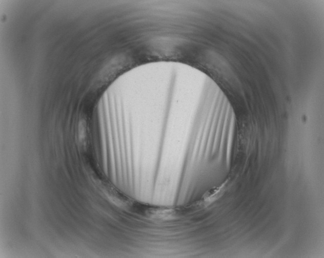 X0000081450132200701261922