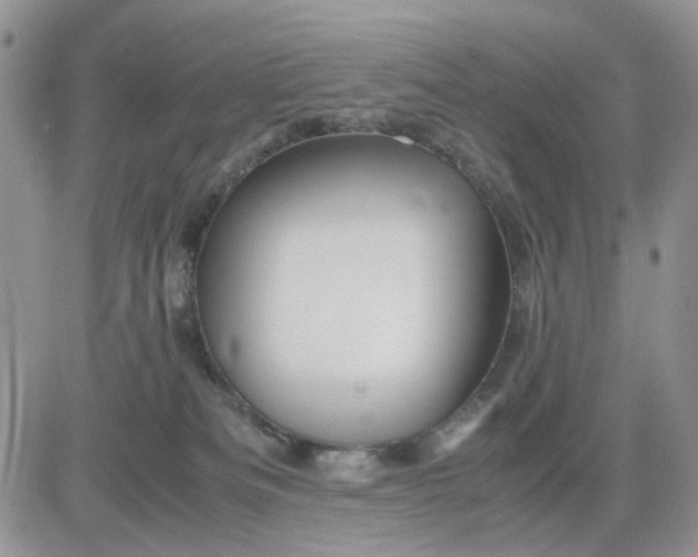 X0000081450133200701261922