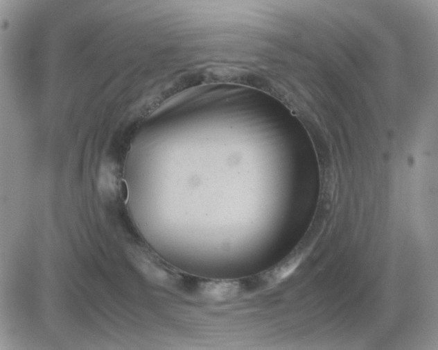 X0000081450135200701261922