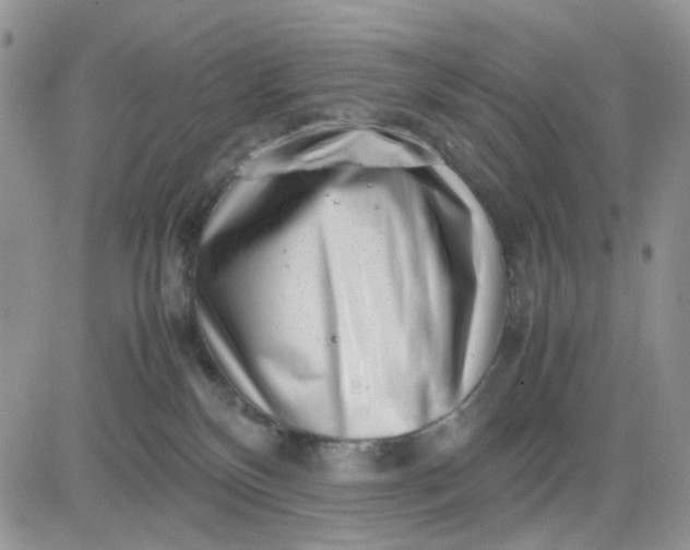 X0000081450136200701261922