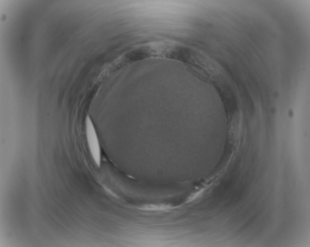 X0000081450137200701261922