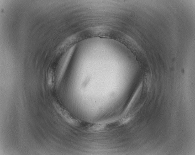 X0000081450138200701261922