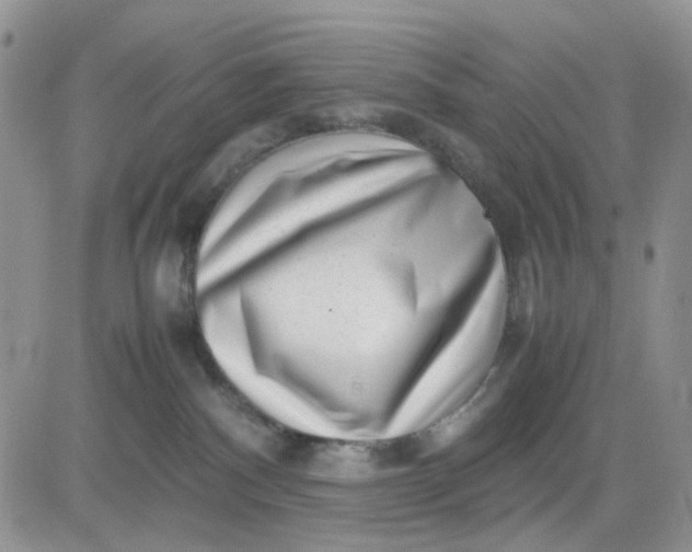 X0000081450140200701261922