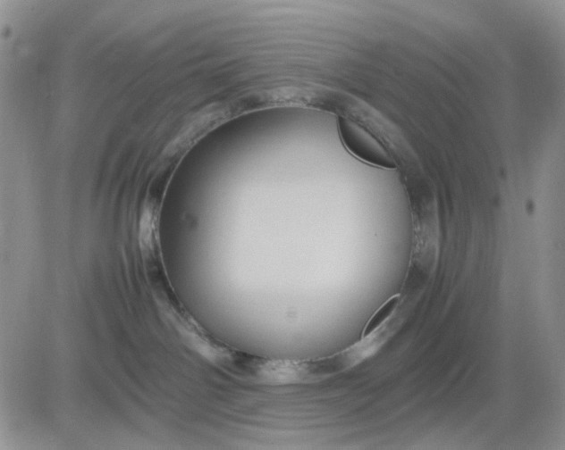 X0000081450142200701261922