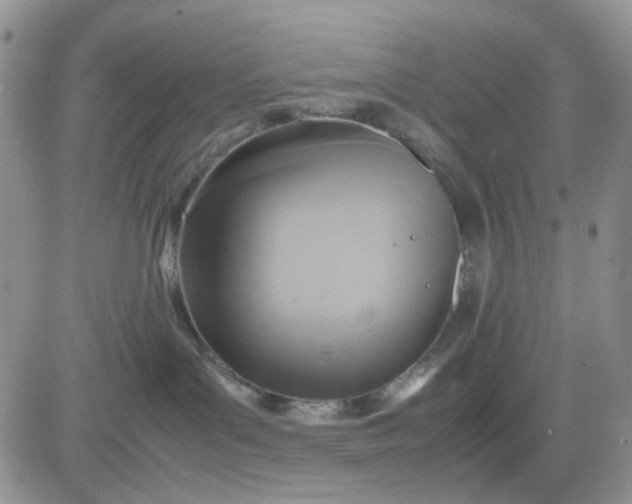 X0000081450143200701261922