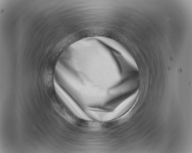 X0000081450144200701261922