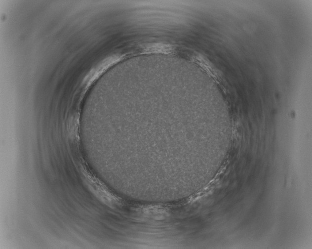 X0000081450146200701261921