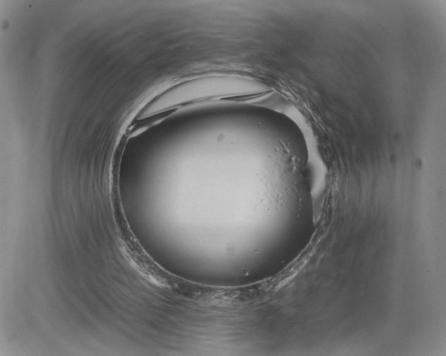 X0000081450148200701261921