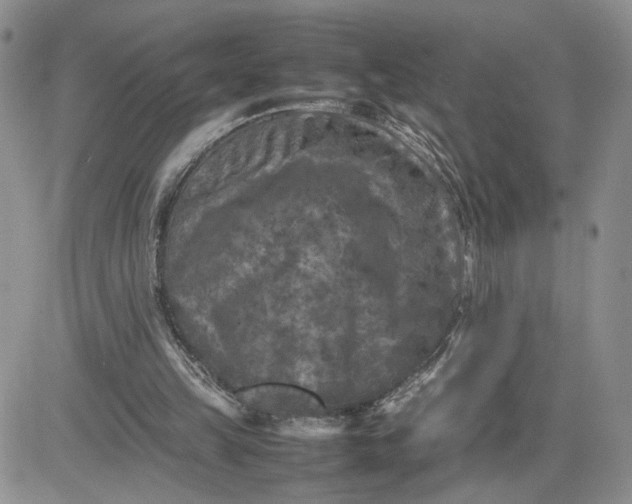 X0000081450149200701261921