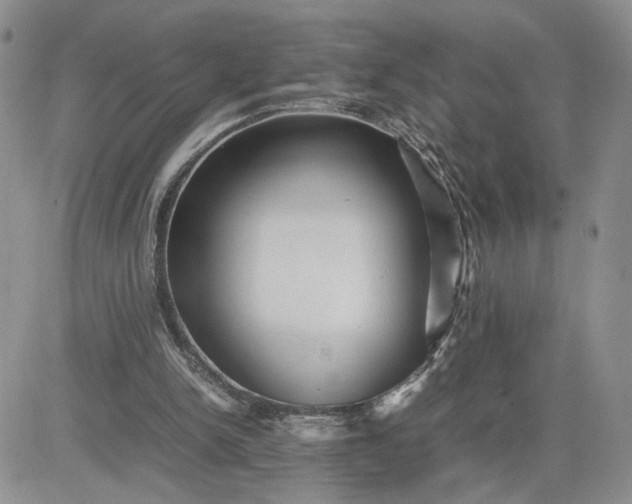 X0000081450150200701261921