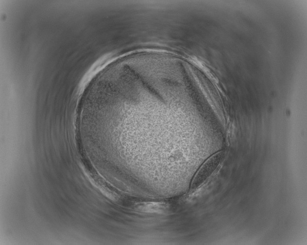 X0000081450151200701261921