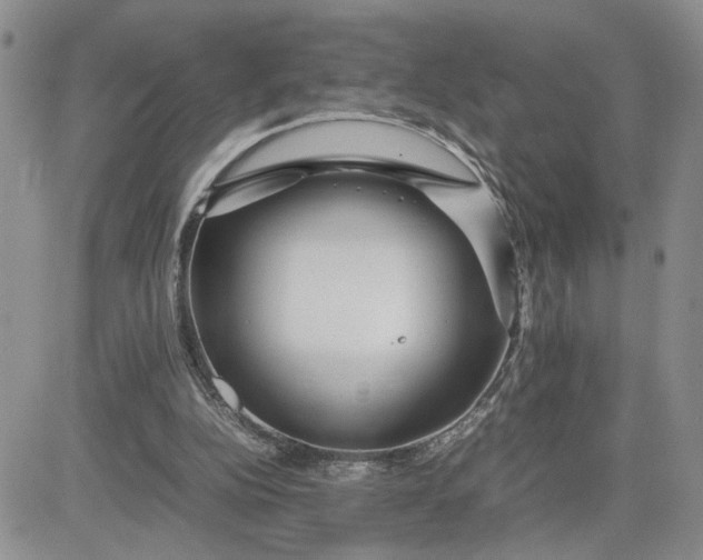 X0000081450152200701261921