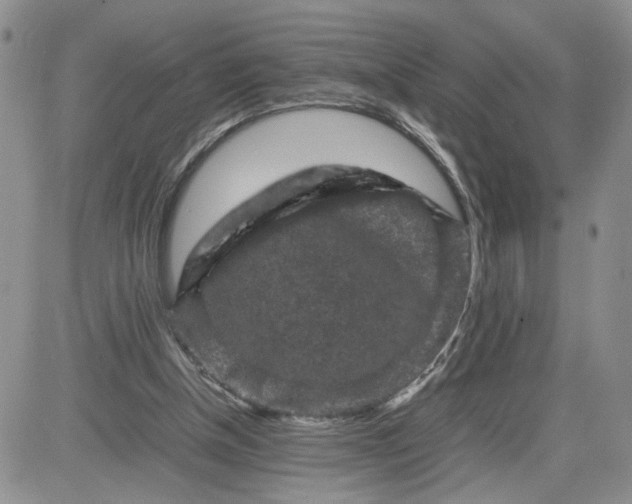 X0000081450154200701261921