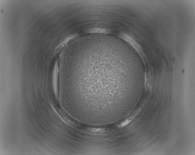 X0000081450157200701261921