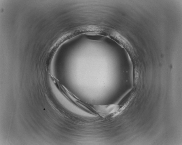 X0000081450158200701261921