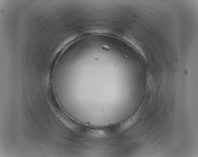 X0000081450159200701261921