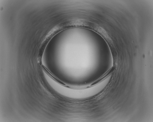 X0000081450160200701261921