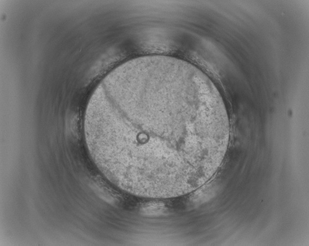 X0000081450162200701261921