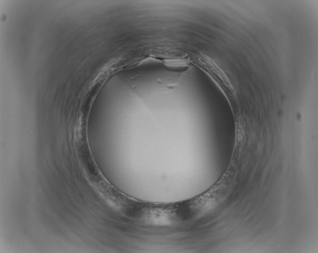 X0000081450163200701261921