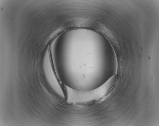 X0000081450164200701261921