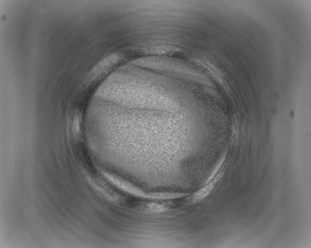 X0000081450166200701261921