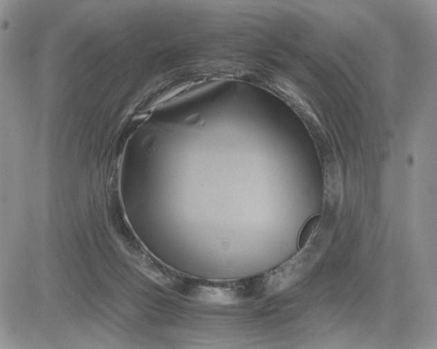 X0000081450167200701261922