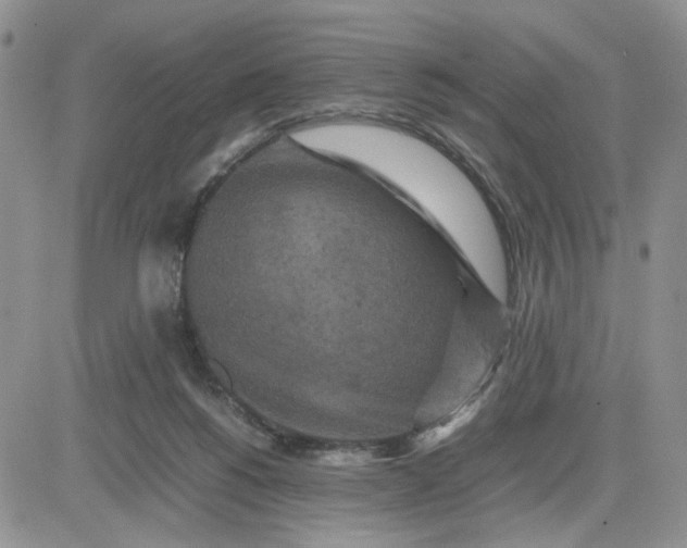 X0000081450168200701261922