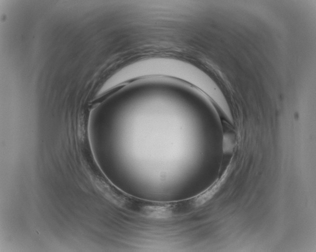 X0000081450170200701261922