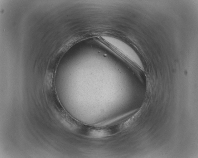 X0000081450171200701261922