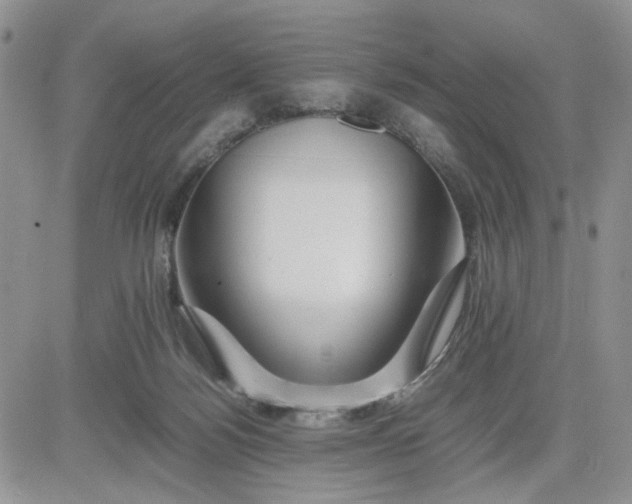 X0000081450172200701261922