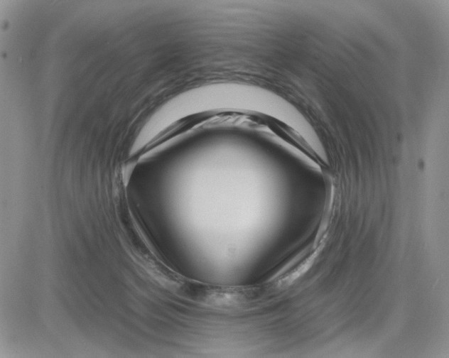 X0000081450174200701261922