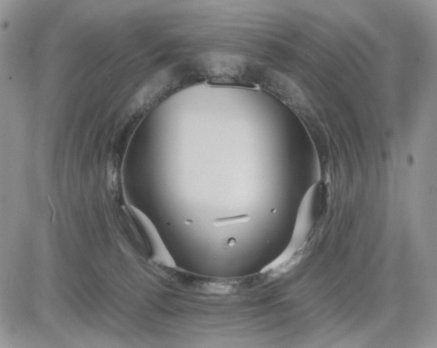 X0000081450176200701261922