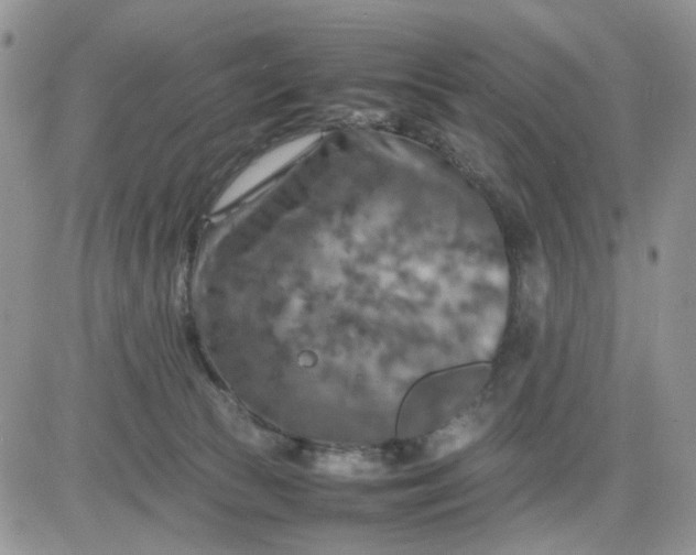 X0000081450177200701261922