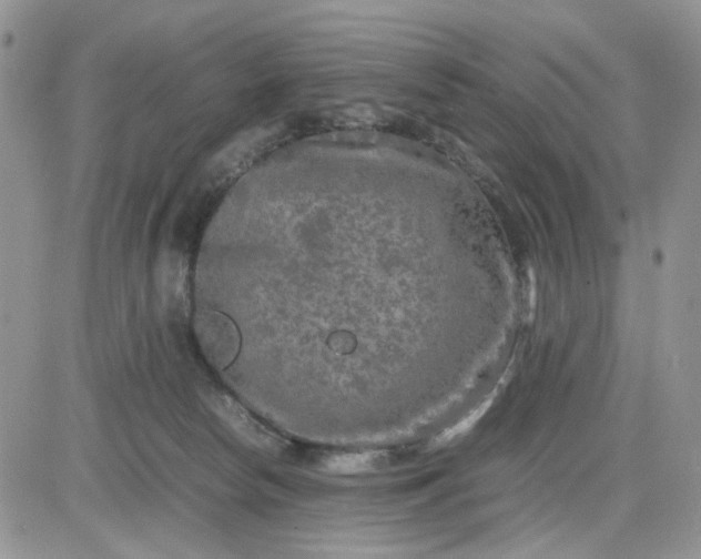 X0000081450178200701261922