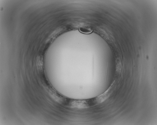 X0000081450179200701261922