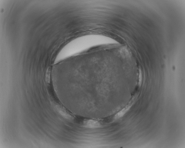 X0000081450180200701261922