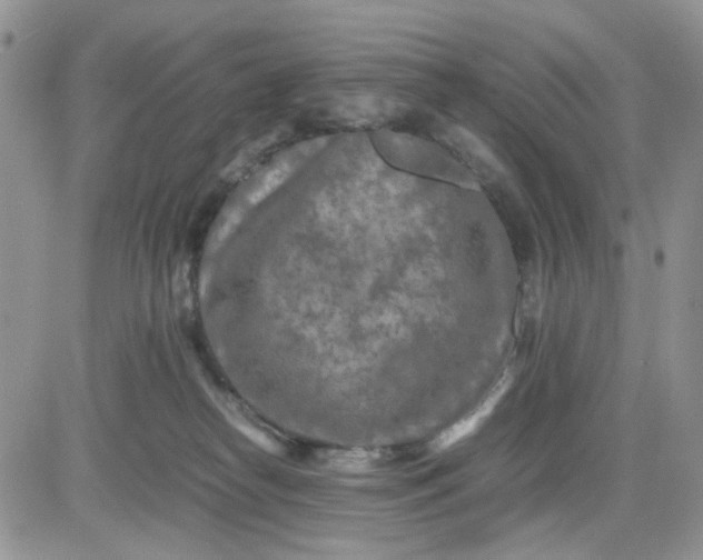 X0000081450182200701261922