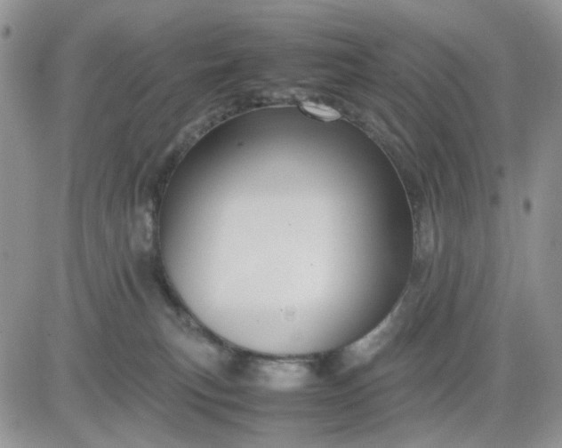 X0000081450183200701261922