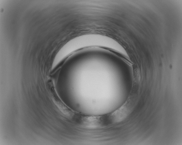 X0000081450184200701261922