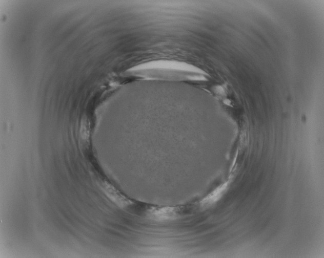 X0000081450186200701261922